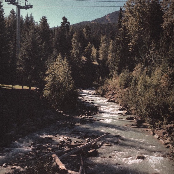 Meet your Posher, Alexis - Picture 1 of 1